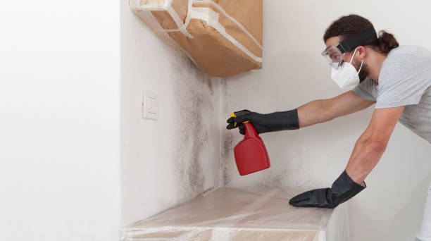 Professional Crawl Space Mold Removal technician working in Fulton, IL