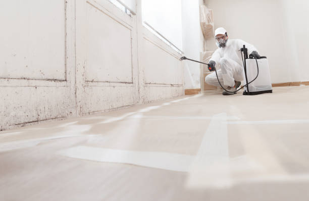 24/7 Emergency Crawl Space Mold Removal experts in Fulton, IL